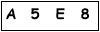 salt-81C62277