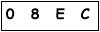 salt-058F6554