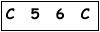 salt-C09D7523